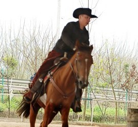 �R�g�������ߵ��\��