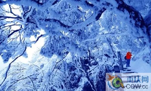 重慶也有冰雪仙境 2小時(shí)就能到